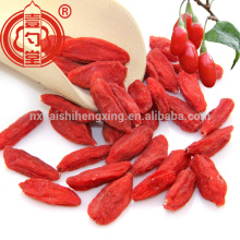 China dried small grains gojiberry barbary Wolfberry Fruit for sale